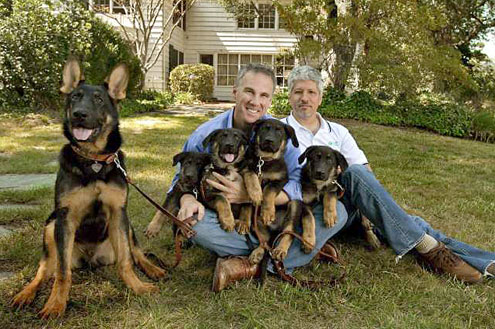 trakr, a cloned german shepherd, and his puppies